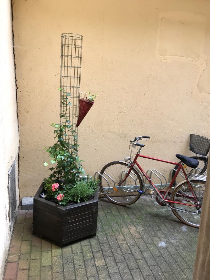 Ferienwohnung La Cour Des Cordonniers, Centre Cathedrale Petite France Straßburg Exterior foto
